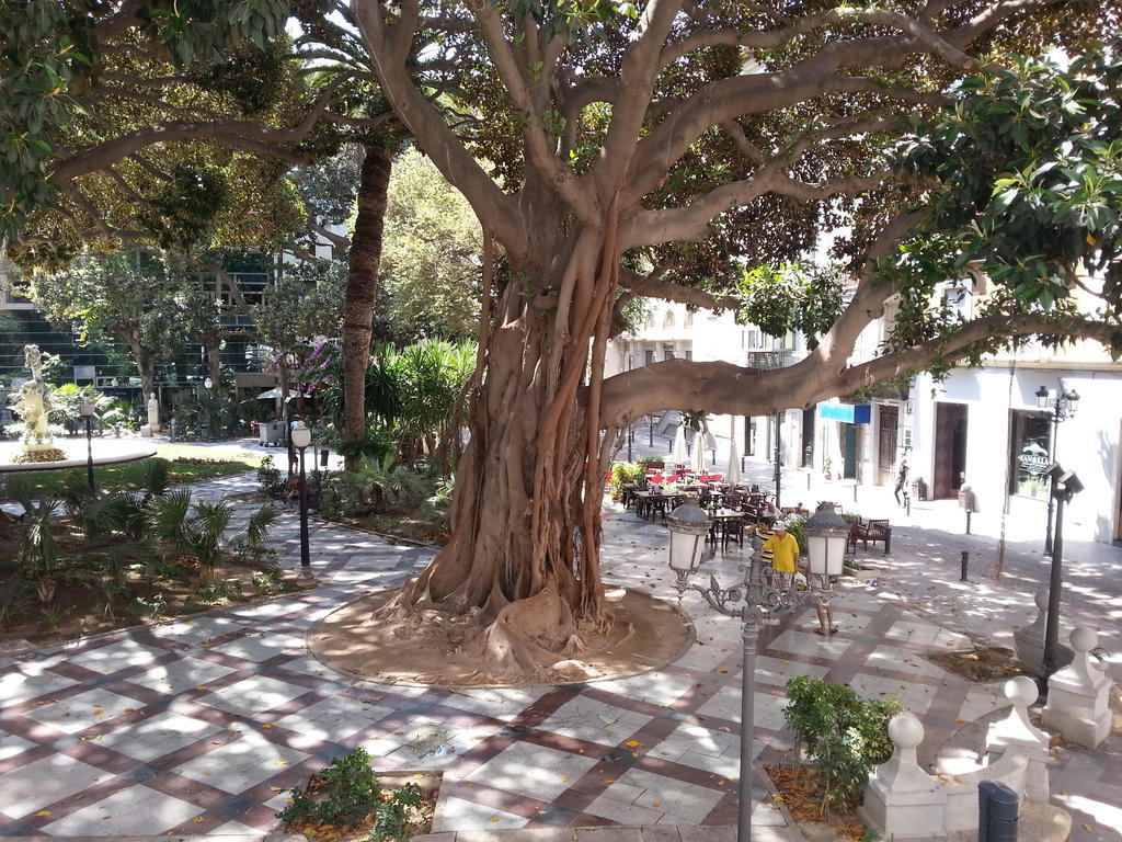 Appartamento Wellrenting - Prado Sastre Alicante Esterno foto
